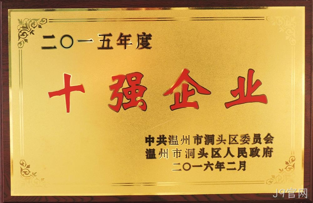 2015年度十强企业