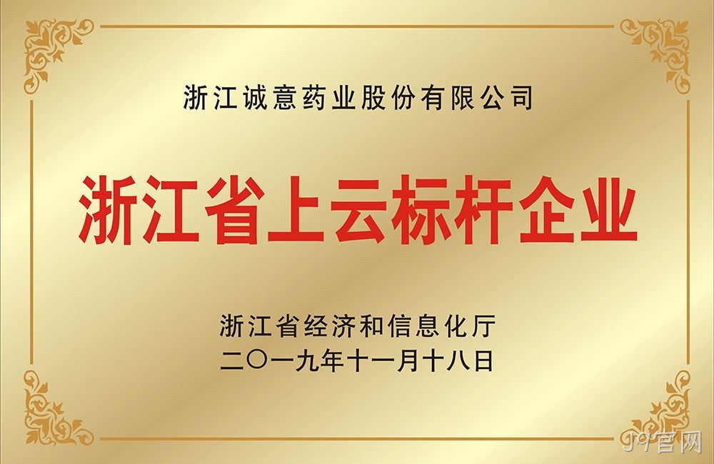 浙江省上云标杆企业