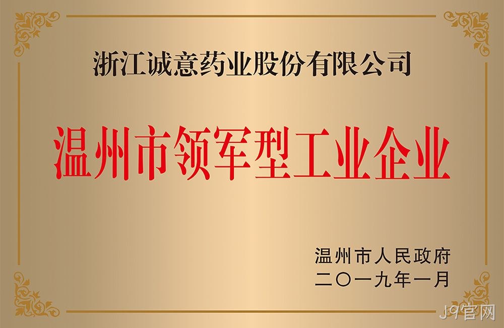 温州市领军型工业企业